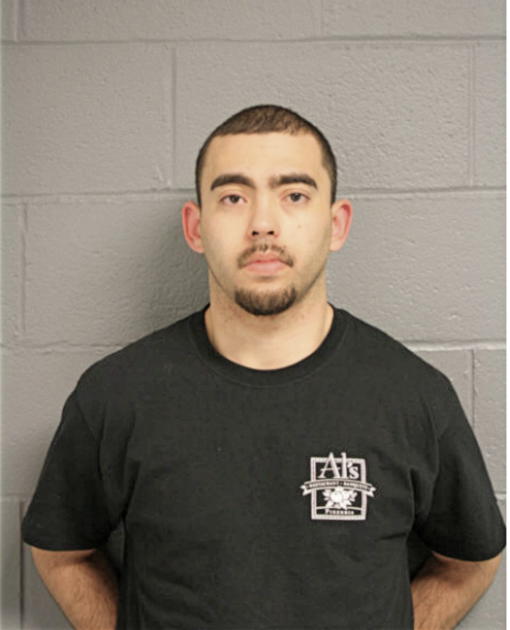 LUIS Z PINTO RAMOS, Cook County, Illinois