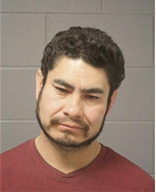 FERNANDO RAMIREZ, Cook County, Illinois