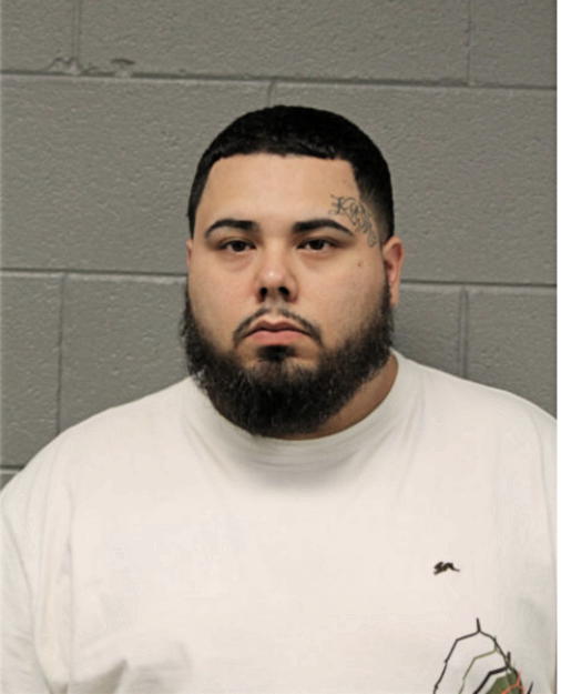 JUAN J REYES, Cook County, Illinois