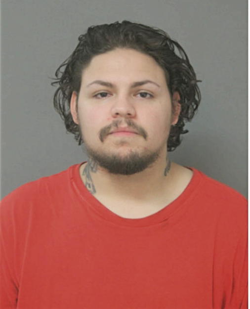DAMIAN L RIVERA, Cook County, Illinois
