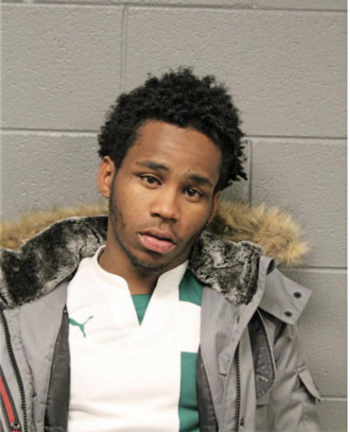ERIC R ROBERSON, Cook County, Illinois