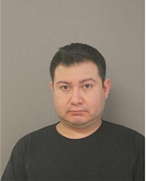 MICHAEL L SALINAS, Cook County, Illinois