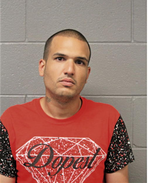MANUEL A TORRES-FIGUEROA, Cook County, Illinois