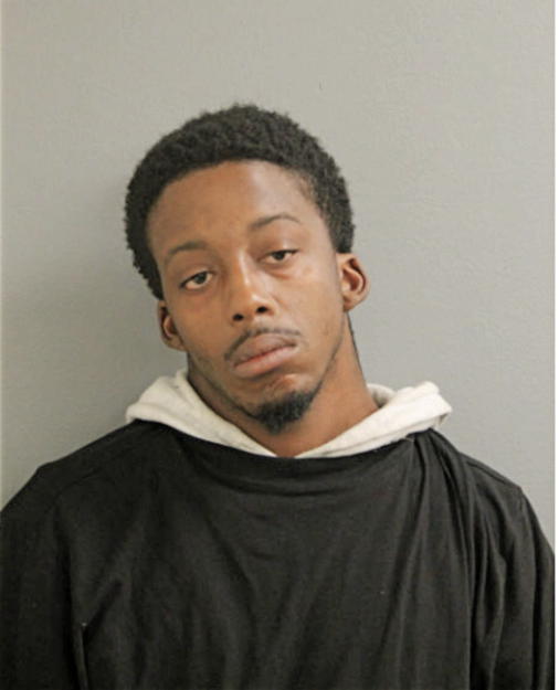 TOMMIE L WILLIAMS, Cook County, Illinois