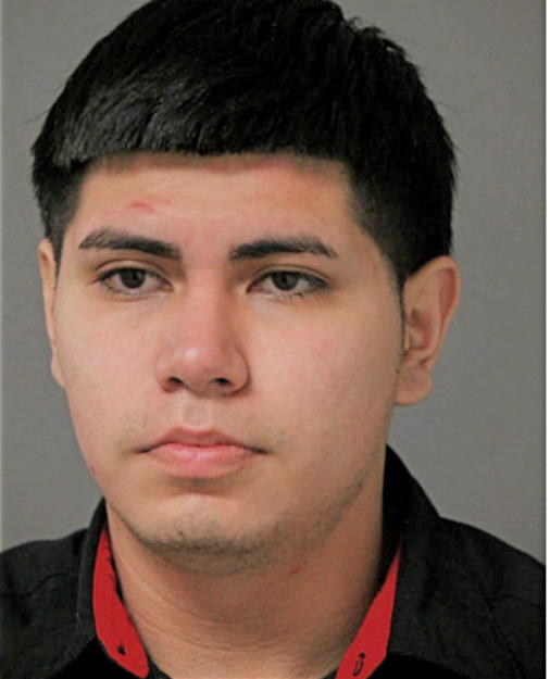 NELSON AVILES, Cook County, Illinois