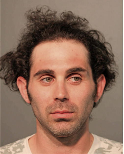MICHAEL J BAGINSKI, Cook County, Illinois