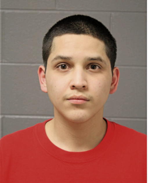 CARLOS A BARRERA, Cook County, Illinois