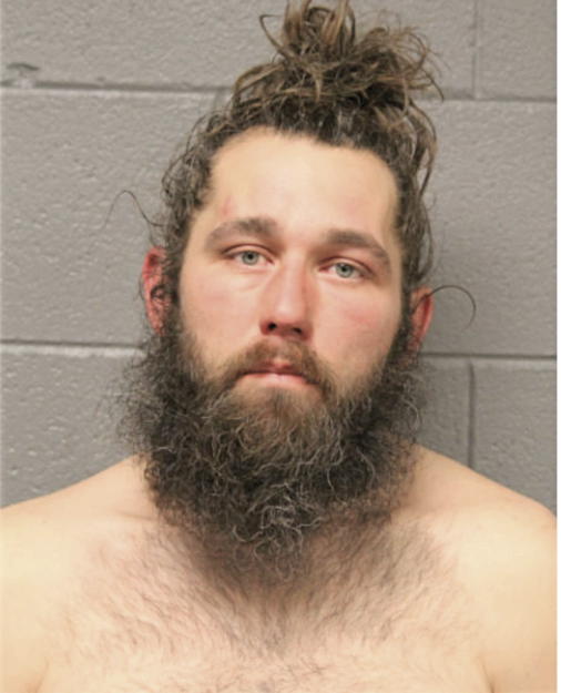 ANDREW P BEERS, Cook County, Illinois