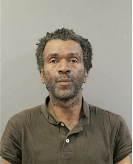 JESSE J BROWN, Cook County, Illinois