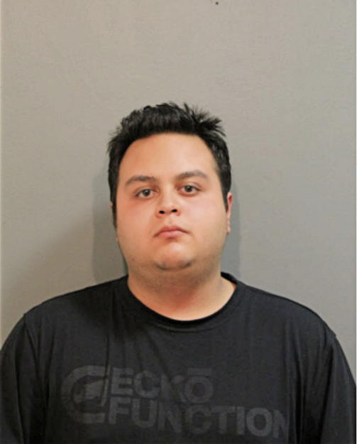 JOSE CAMARILLO, Cook County, Illinois