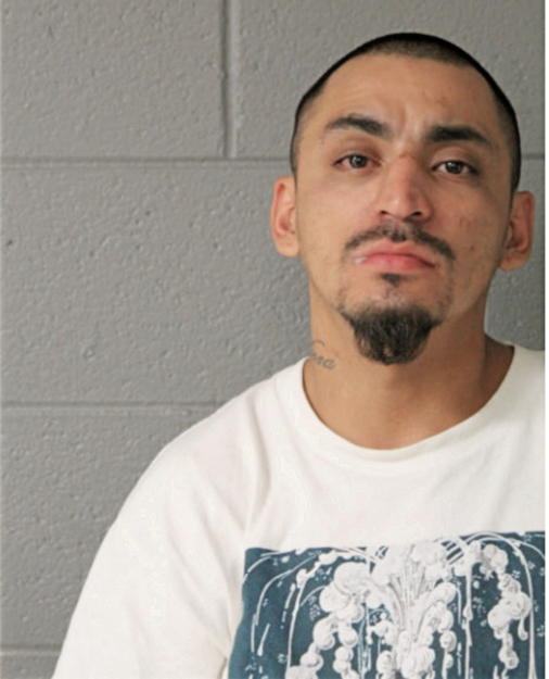 RAFAEL CASTELLANOS, Cook County, Illinois