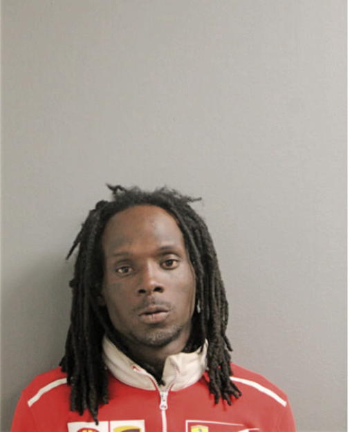 HENRY N FREEMAN, Cook County, Illinois