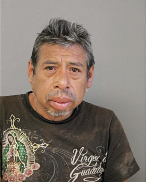 JOSE T GIRON, Cook County, Illinois