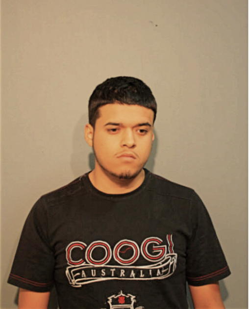 RICARDO A GONZALEZ, Cook County, Illinois