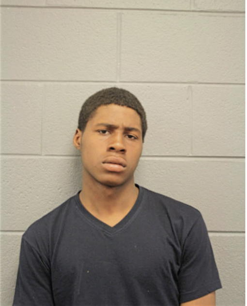 ANDRE N HEARD, Cook County, Illinois