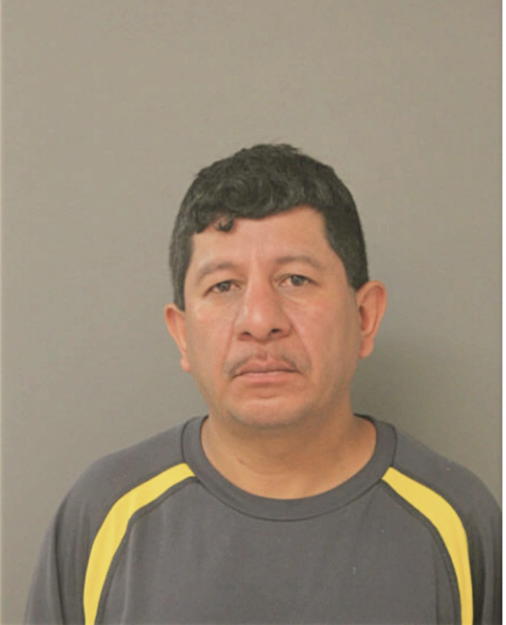MARIO A HERNANDEZ, Cook County, Illinois
