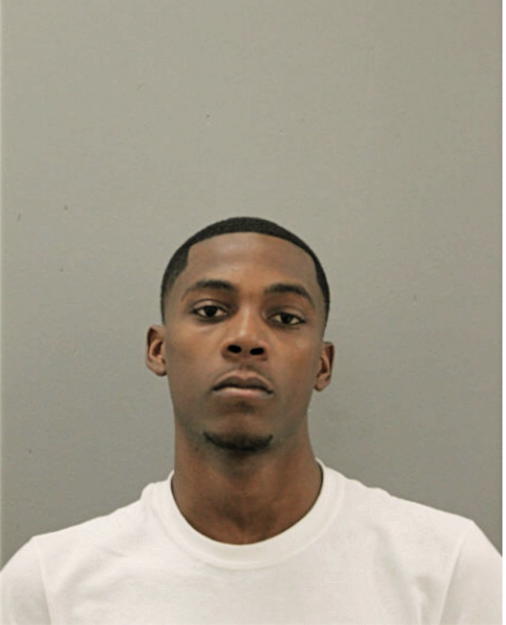 DERRICK D HILL, Cook County, Illinois