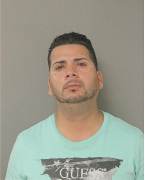 AGUSTIN L MARTINEZ, Cook County, Illinois