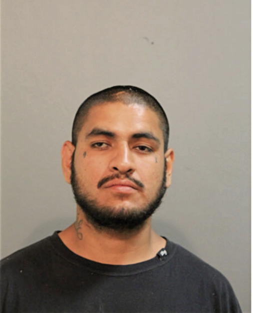 ARMANDO MARTINEZ, Cook County, Illinois