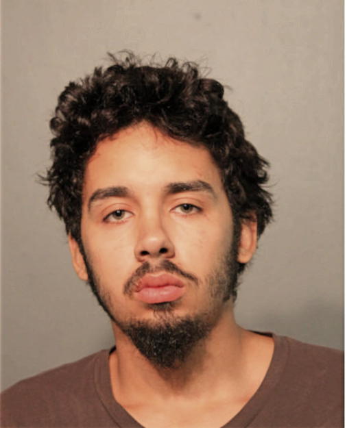 GAVIN P NIEVES, Cook County, Illinois