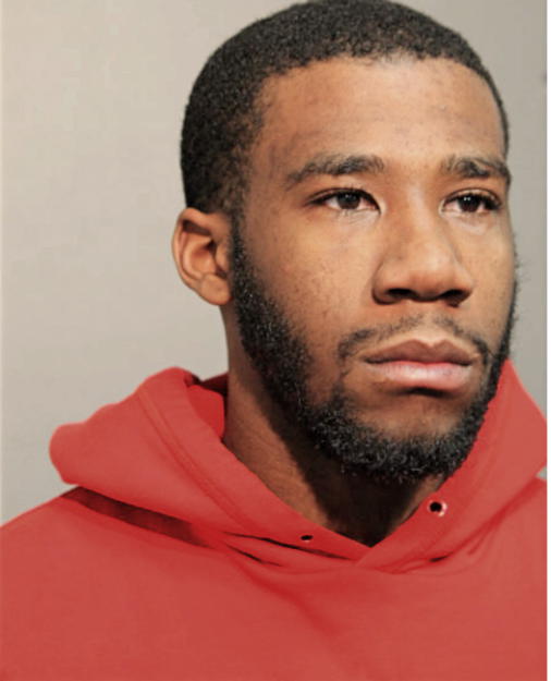SAMUEL OGUNLEYE, Cook County, Illinois