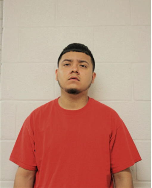 DIEGO PEREZ, Cook County, Illinois