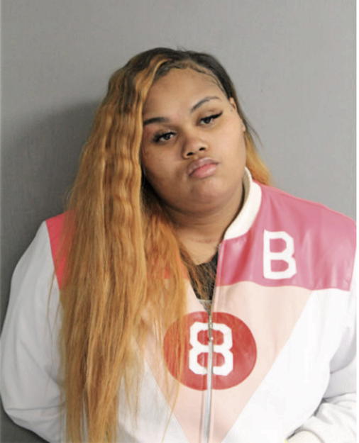 BRIANNA SHAKEYLA PROFIT, Cook County, Illinois