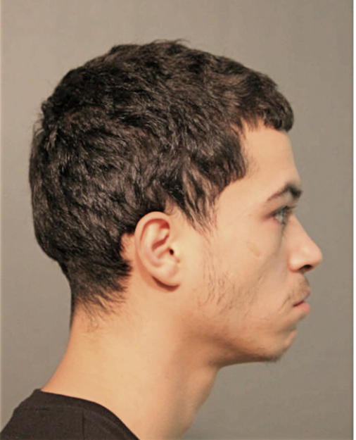 ISIAH N RODRIGUEZ, Cook County, Illinois