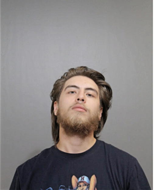 JULIAN T RODRIGUEZ, Cook County, Illinois