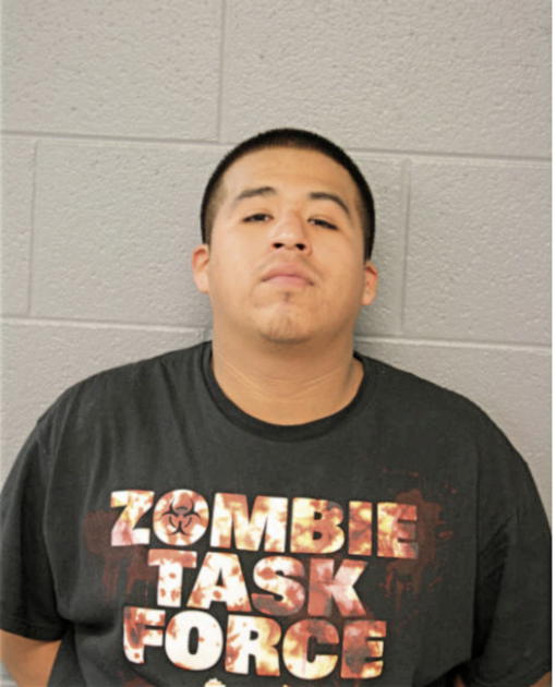 DAVID ROMERO, Cook County, Illinois