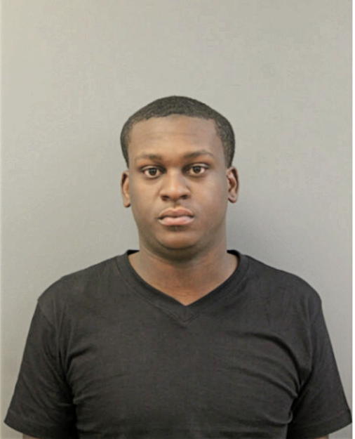 DEVON L RUSHIN, Cook County, Illinois