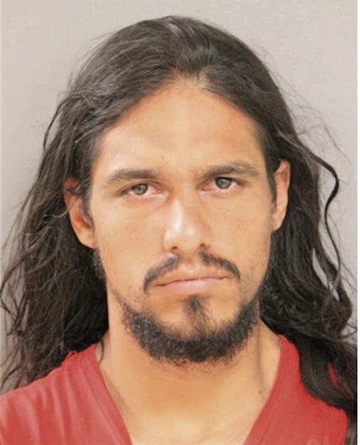 ANTHONY SANCHEZ, Cook County, Illinois