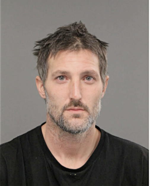 BRIAN W SCHAULTS, Cook County, Illinois