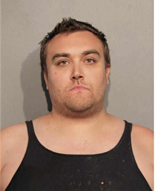 RICHARD N SCHIMDT, Cook County, Illinois
