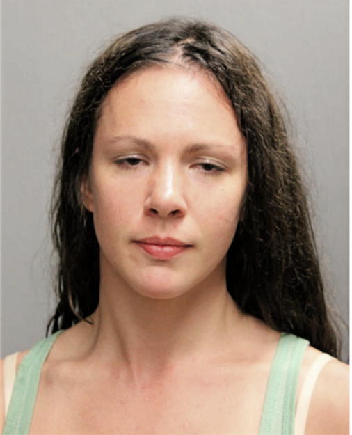 CHRISTIE L SIEDEL, Cook County, Illinois