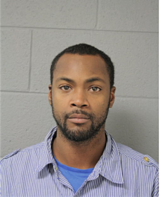 BRANDON N WHITE, Cook County, Illinois