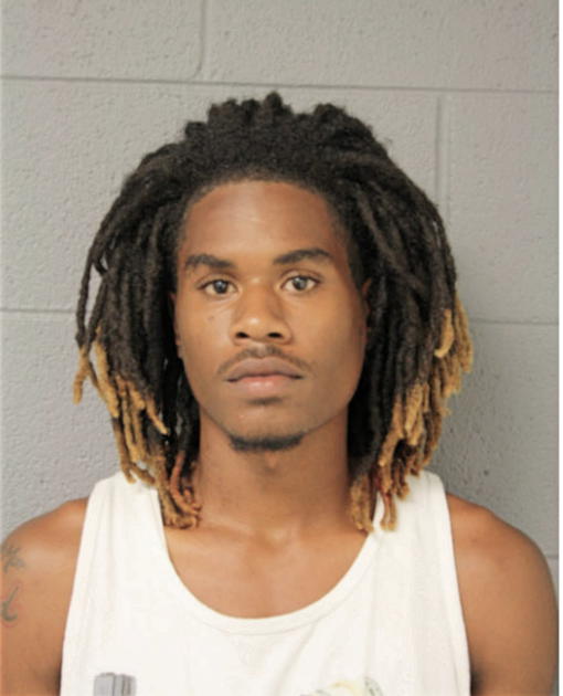 NICHOLAS T WILSON, Cook County, Illinois