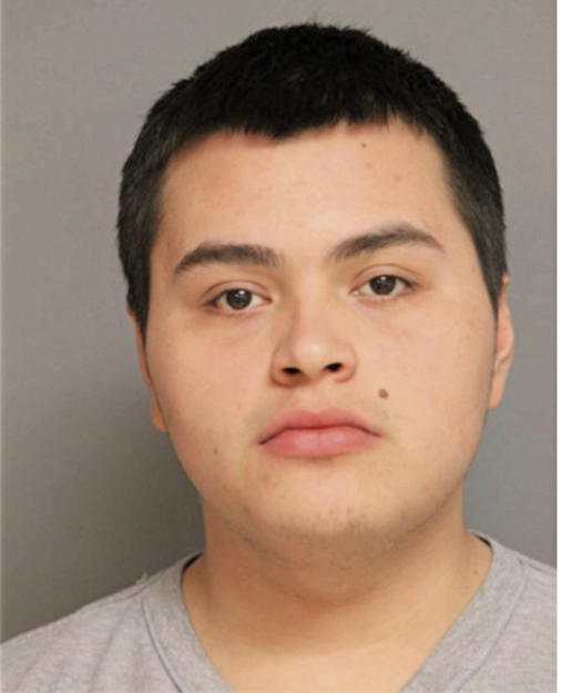 ALEJANDRO ANDRADE, Cook County, Illinois
