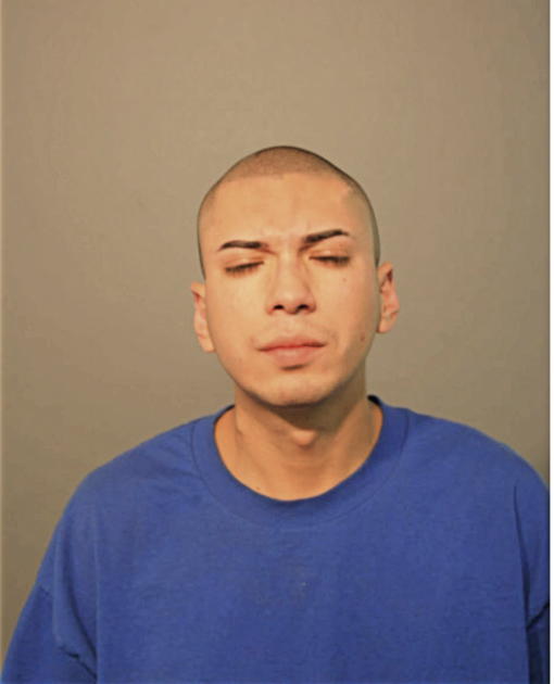 ANTHONY J ARGUETA, Cook County, Illinois