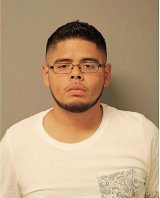 JOSE E CAMARILLO, Cook County, Illinois