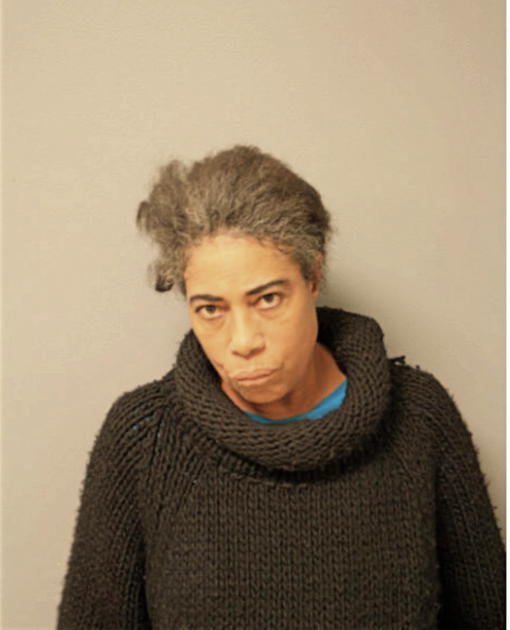 MICHELLE R DYER, Cook County, Illinois