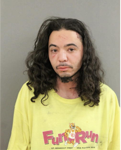 LEONARDO FERNANDEZ, Cook County, Illinois