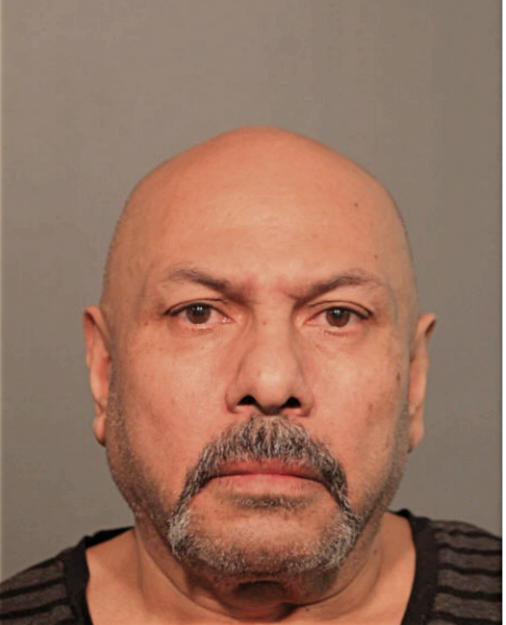 ROBERTO FLORES, Cook County, Illinois