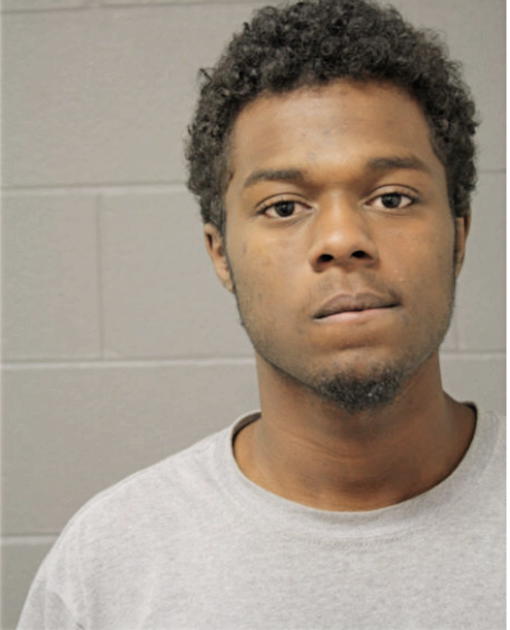 BRANDON A FLOWERS, Cook County, Illinois
