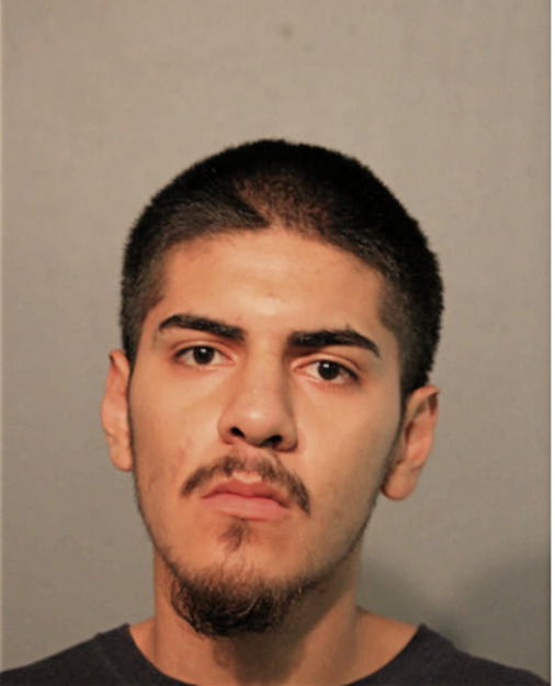 IVAN G FUERTE, Cook County, Illinois