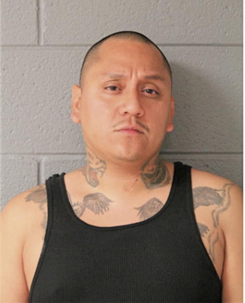 ROBERTO GAMEZ, Cook County, Illinois