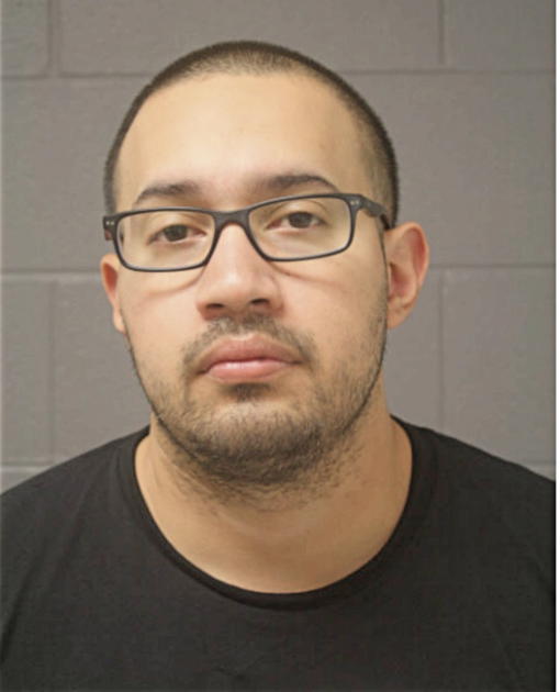 MARCO T GARCIA, Cook County, Illinois