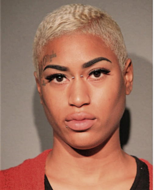 DARIEN M HILL, Cook County, Illinois