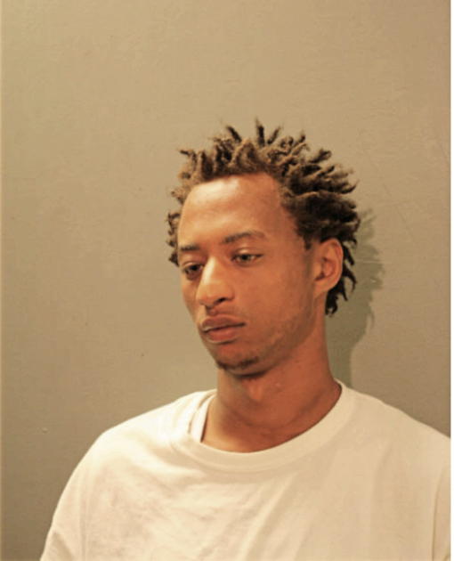 TERRELL J HORTON, Cook County, Illinois