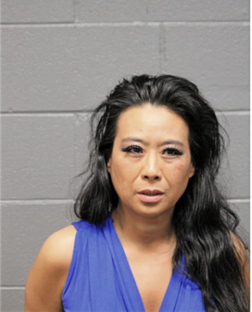 DIANE S HUI, Cook County, Illinois